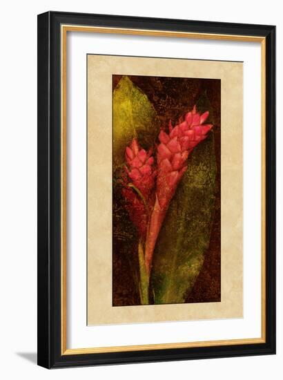 Ginger-John Seba-Framed Art Print