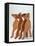 Gingerbread Creatures (Lucy Casson) 2003-Norman Hollands-Framed Premier Image Canvas