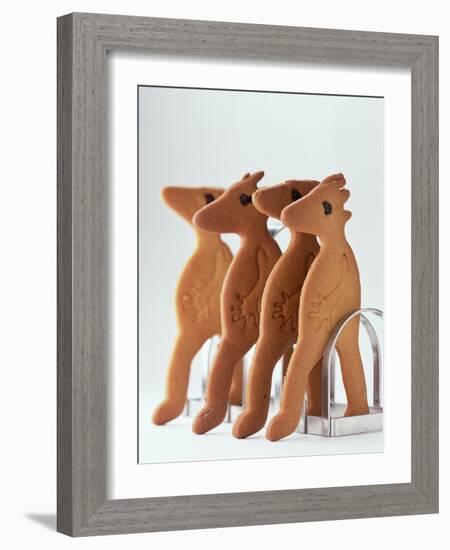 Gingerbread Creatures (Lucy Casson) 2003-Norman Hollands-Framed Photographic Print