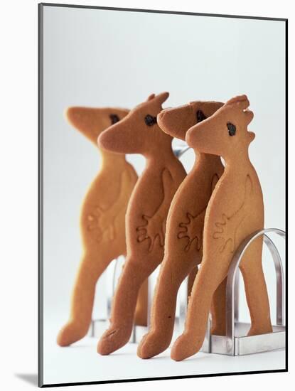 Gingerbread Creatures (Lucy Casson) 2003-Norman Hollands-Mounted Photographic Print