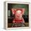 Gingerbread Pigs-Lucia Heffernan-Framed Stretched Canvas