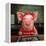 Gingerbread Pigs-Lucia Heffernan-Framed Stretched Canvas