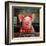 Gingerbread Pigs-Lucia Heffernan-Framed Art Print