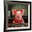 Gingerbread Pigs-Lucia Heffernan-Framed Giclee Print