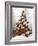 Gingerbread Trees with Glacé Icing-null-Framed Photographic Print