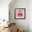 Gingham Beet-Lola Bryant-Framed Premium Giclee Print displayed on a wall