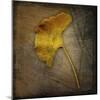 Gingko 1-John W Golden-Mounted Giclee Print