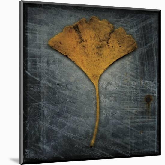 Gingko 2-John W^ Golden-Mounted Art Print