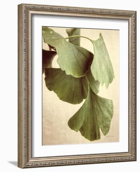 Gingko Color-Debra Van Swearingen-Framed Art Print