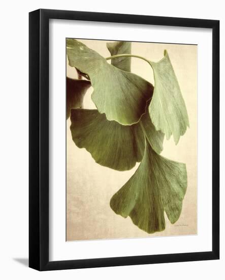 Gingko Color-Debra Van Swearingen-Framed Art Print