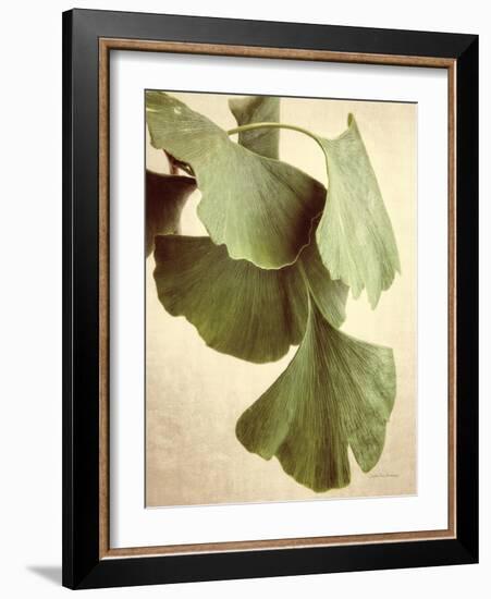 Gingko Color-Debra Van Swearingen-Framed Art Print