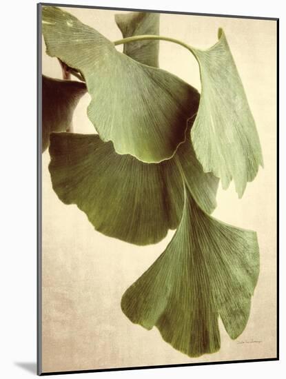 Gingko Color-Debra Van Swearingen-Mounted Art Print