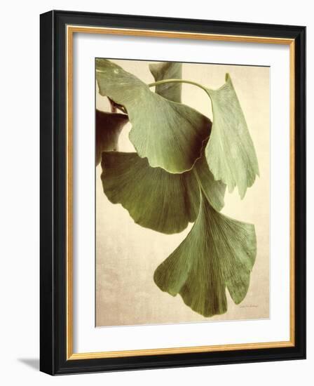 Gingko Color-Debra Van Swearingen-Framed Art Print