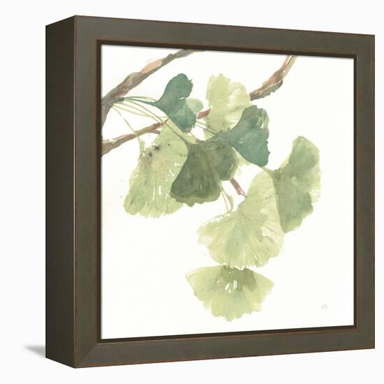 Gingko Leaves I on White-Chris Paschke-Framed Stretched Canvas