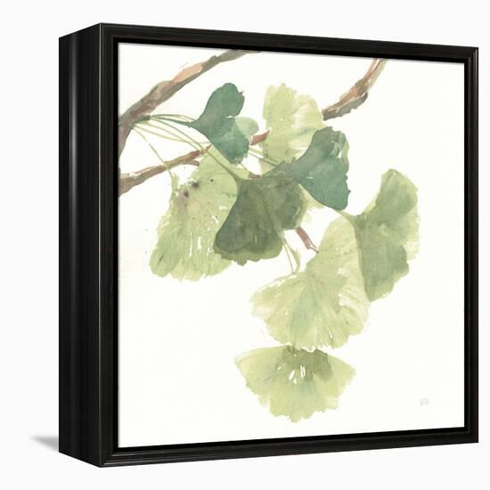 Gingko Leaves I on White-Chris Paschke-Framed Stretched Canvas