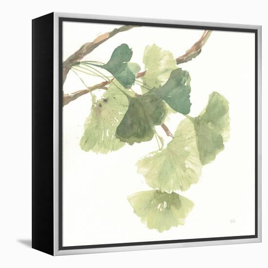 Gingko Leaves I on White-Chris Paschke-Framed Stretched Canvas