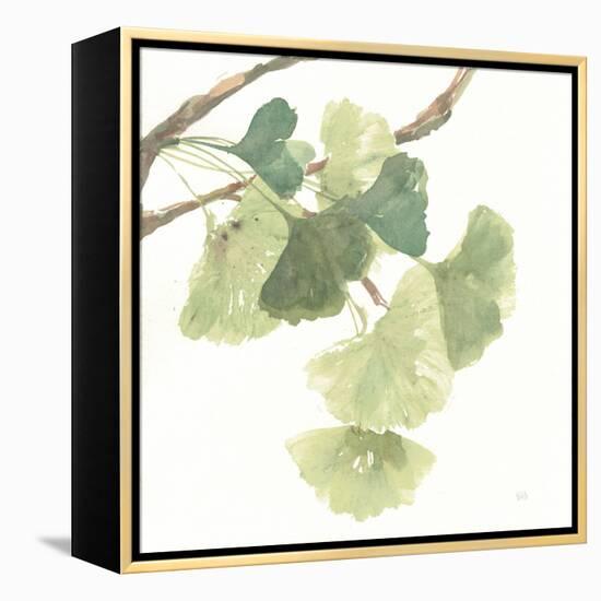 Gingko Leaves I on White-Chris Paschke-Framed Stretched Canvas