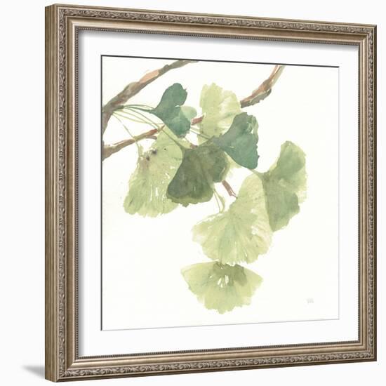 Gingko Leaves I on White-Chris Paschke-Framed Art Print