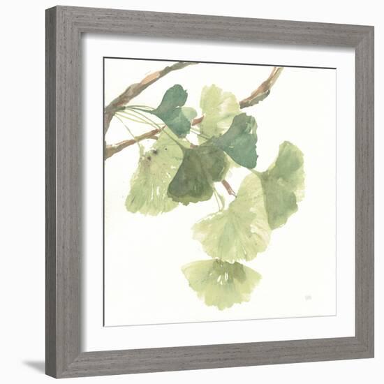 Gingko Leaves I on White-Chris Paschke-Framed Art Print