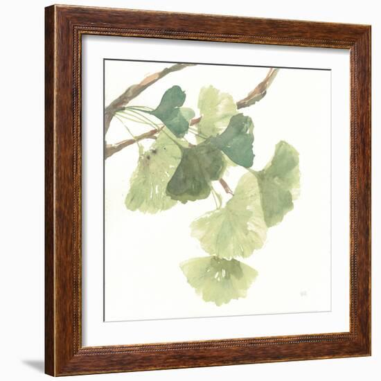 Gingko Leaves I on White-Chris Paschke-Framed Art Print