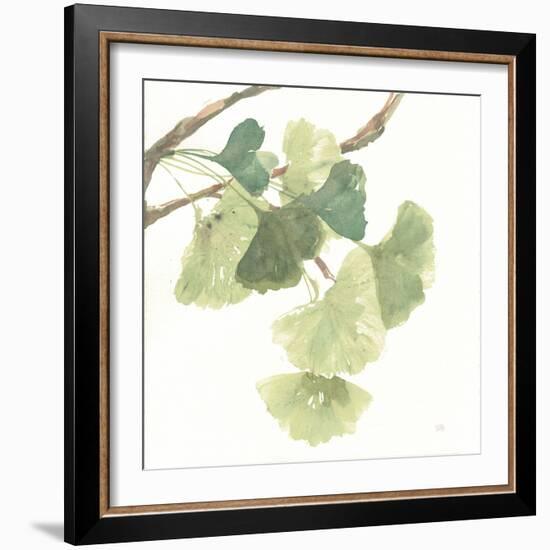 Gingko Leaves I on White-Chris Paschke-Framed Art Print