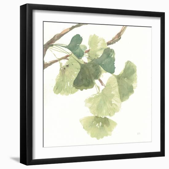 Gingko Leaves I on White-Chris Paschke-Framed Art Print