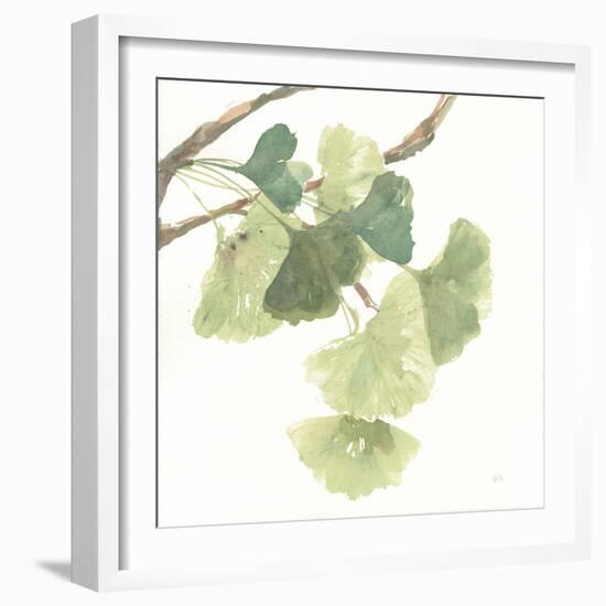 Gingko Leaves I on White-Chris Paschke-Framed Art Print