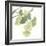 Gingko Leaves I on White-Chris Paschke-Framed Art Print