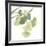 Gingko Leaves I on White-Chris Paschke-Framed Art Print