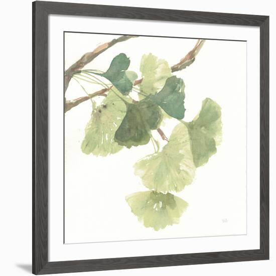 Gingko Leaves I on White-Chris Paschke-Framed Art Print