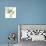 Gingko Leaves I on White-Chris Paschke-Premium Giclee Print displayed on a wall