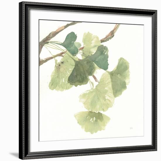 Gingko Leaves I on White-Chris Paschke-Framed Giclee Print