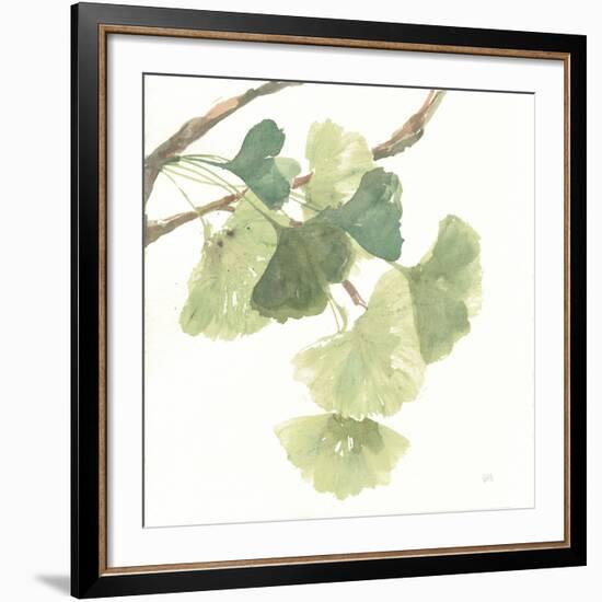 Gingko Leaves I on White-Chris Paschke-Framed Giclee Print