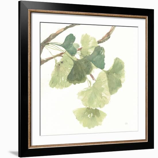 Gingko Leaves I on White-Chris Paschke-Framed Giclee Print