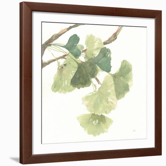 Gingko Leaves I on White-Chris Paschke-Framed Giclee Print