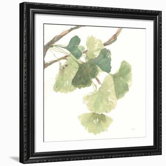 Gingko Leaves I on White-Chris Paschke-Framed Giclee Print