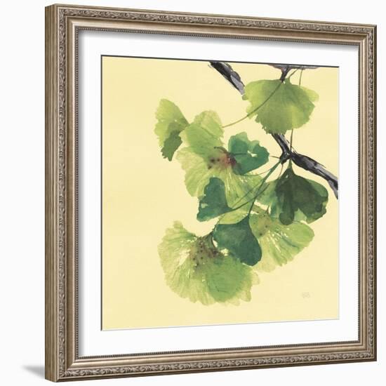 Gingko Leaves II Dark-Chris Paschke-Framed Art Print