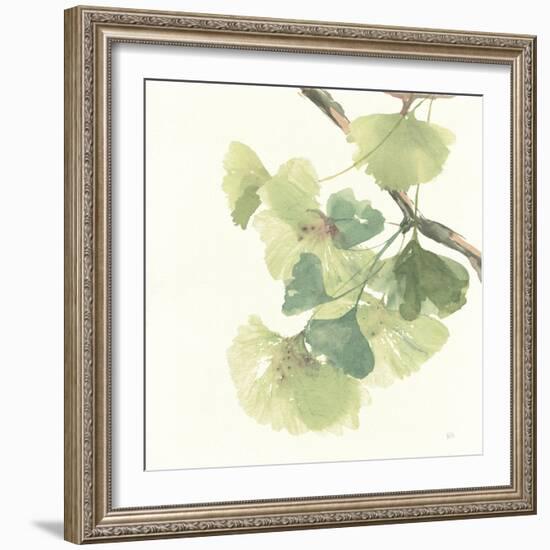 Gingko Leaves II Light-Chris Paschke-Framed Premium Giclee Print