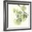 Gingko Leaves II Light-Chris Paschke-Framed Premium Giclee Print