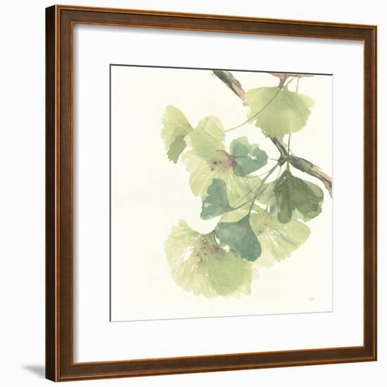 Gingko Leaves II Light-Chris Paschke-Framed Premium Giclee Print