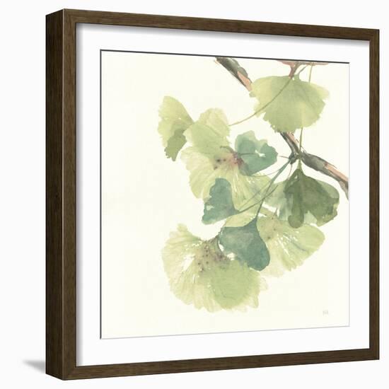 Gingko Leaves II Light-Chris Paschke-Framed Premium Giclee Print