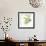 Gingko Leaves II Light-Chris Paschke-Framed Premium Giclee Print displayed on a wall