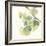 Gingko Leaves II Light-Chris Paschke-Framed Premium Giclee Print