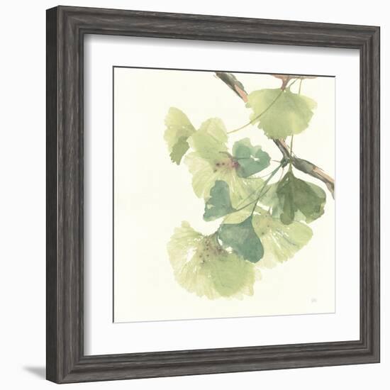 Gingko Leaves II Light-Chris Paschke-Framed Art Print