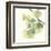 Gingko Leaves II Light-Chris Paschke-Framed Art Print