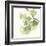 Gingko Leaves II Light-Chris Paschke-Framed Art Print