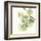 Gingko Leaves II Light-Chris Paschke-Framed Art Print