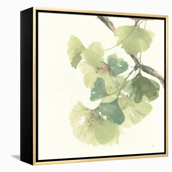 Gingko Leaves II Light-Chris Paschke-Framed Stretched Canvas