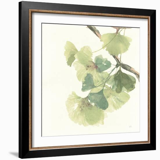 Gingko Leaves II Light-Chris Paschke-Framed Art Print