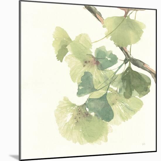 Gingko Leaves II Light-Chris Paschke-Mounted Art Print